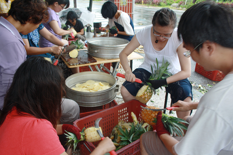 Excerpt image for Dry Pineapple